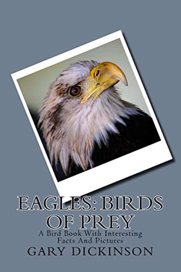 Eagles: Birds Of Prey-..