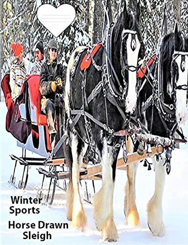Winter Sport Horse Drawn Sleigh: Text On Back Cover-..