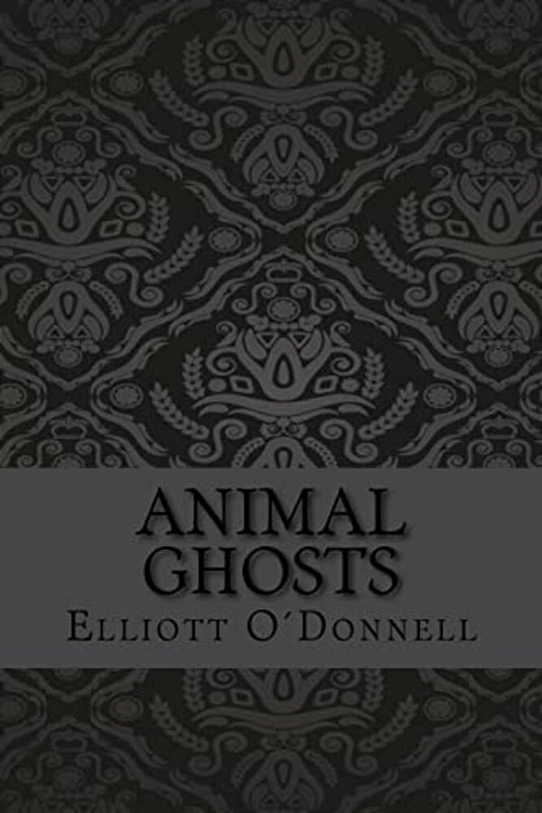 Animal Ghosts-..