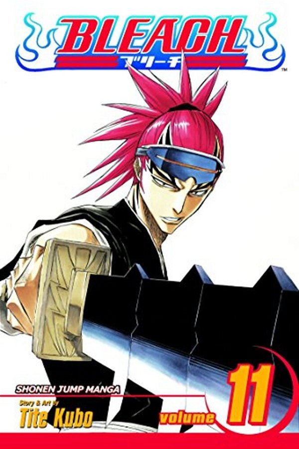 Bleach, Vol. 11: A Star And A Stray Dog-..