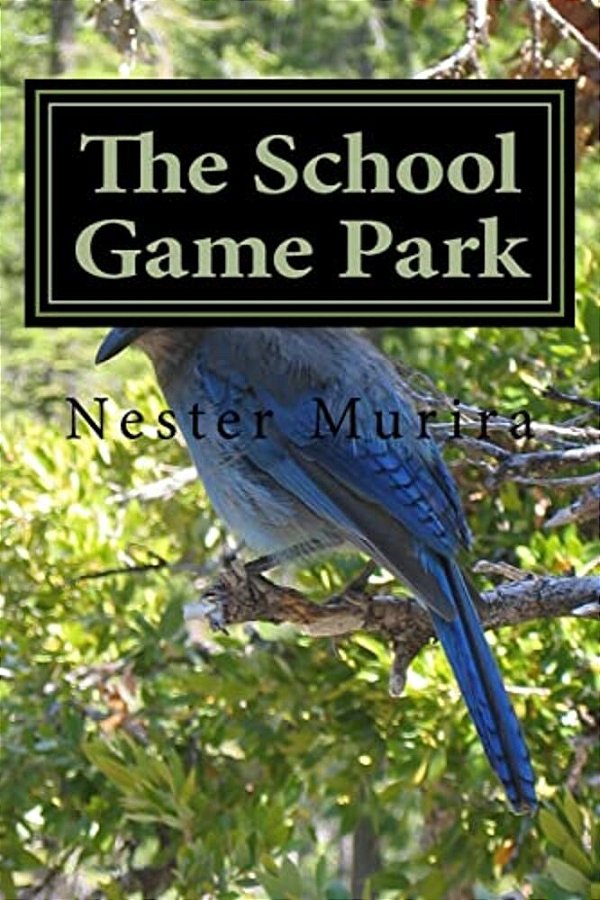 The School Game Park-..