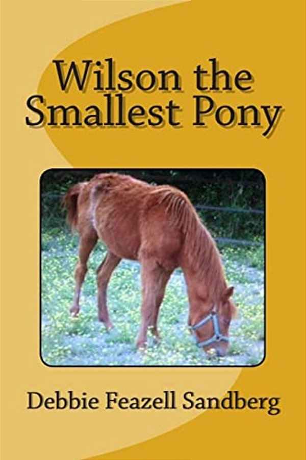 Wilson The Smallest Pony-..