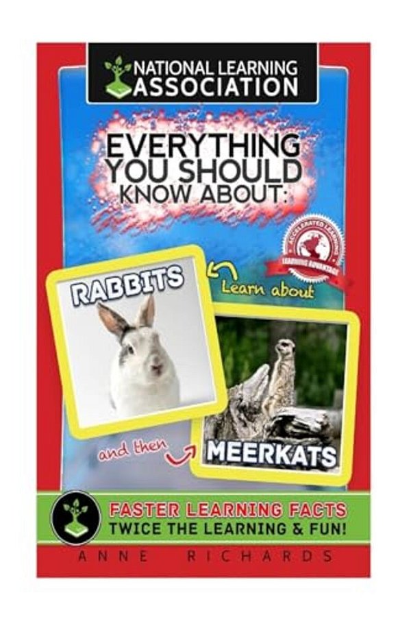 Everything You Should Know About: Rabbits And Meerkats-..