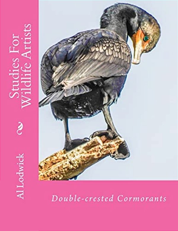 Double-Crested Cormorants: Studies For Wildlife Artists-..