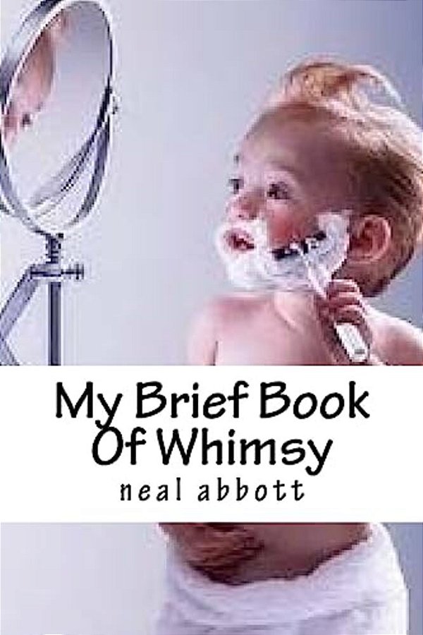 My Brief Book Of Whimsy-..