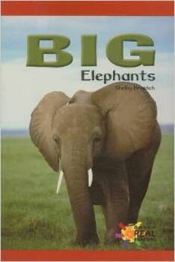Big Elephants-..