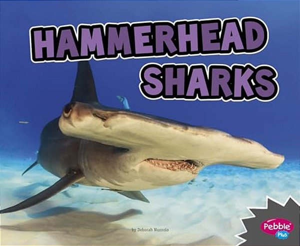 Hammerhead Sharks-..