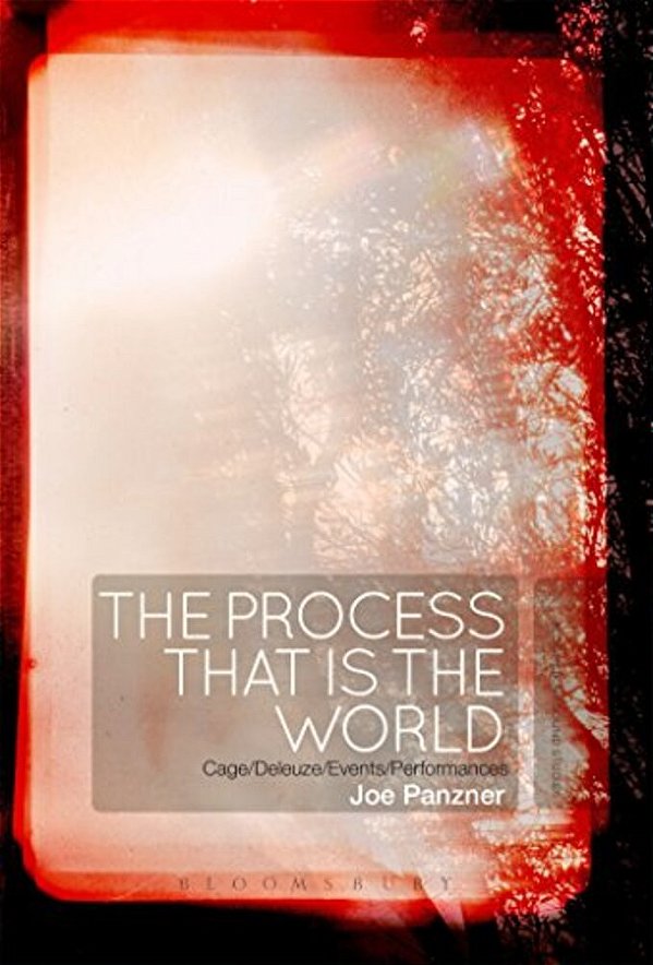 The Process That Is The World-..