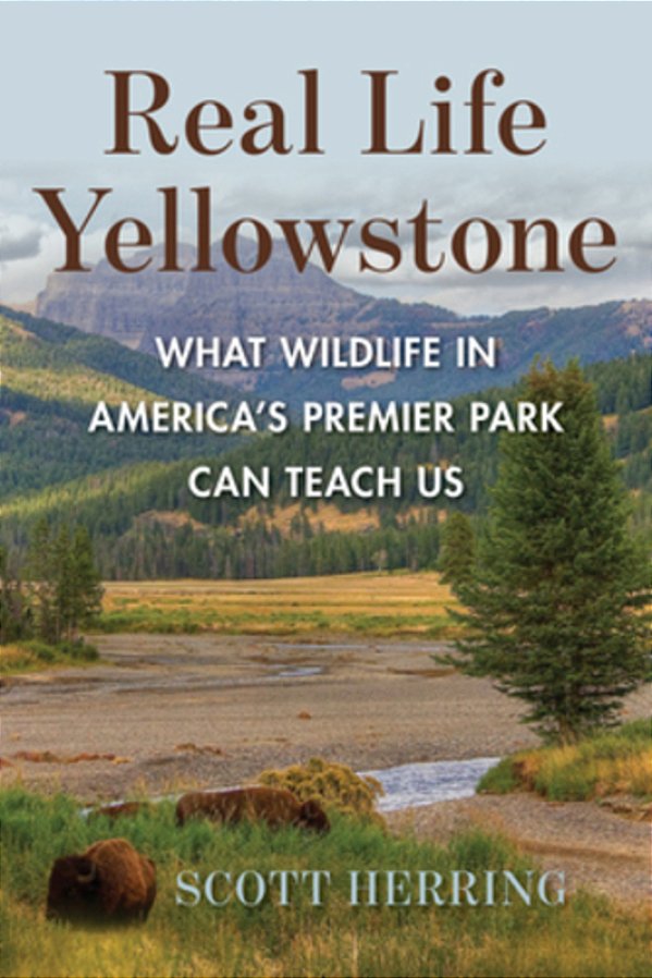 Real Life Yellowstone-..