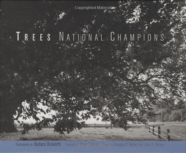 Trees - National Champions-..