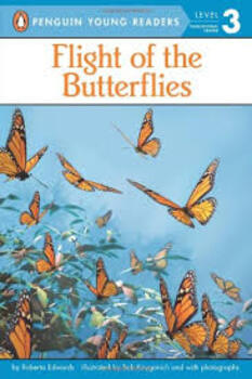 Flight Of The Butterflies-..
