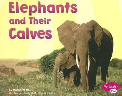 Elephants And Their Calves-..