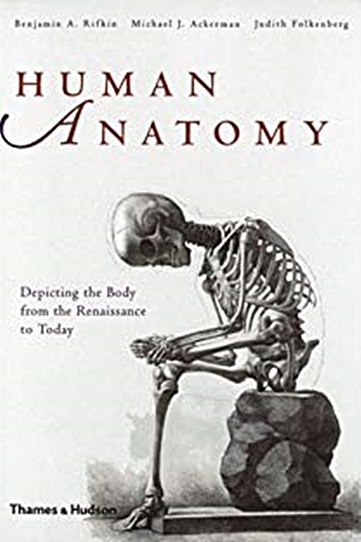 Human Anatomy, Depicting The Body From The Renaissance To Today-..