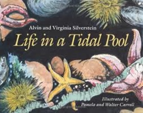 Life In A Tidal Pool-..