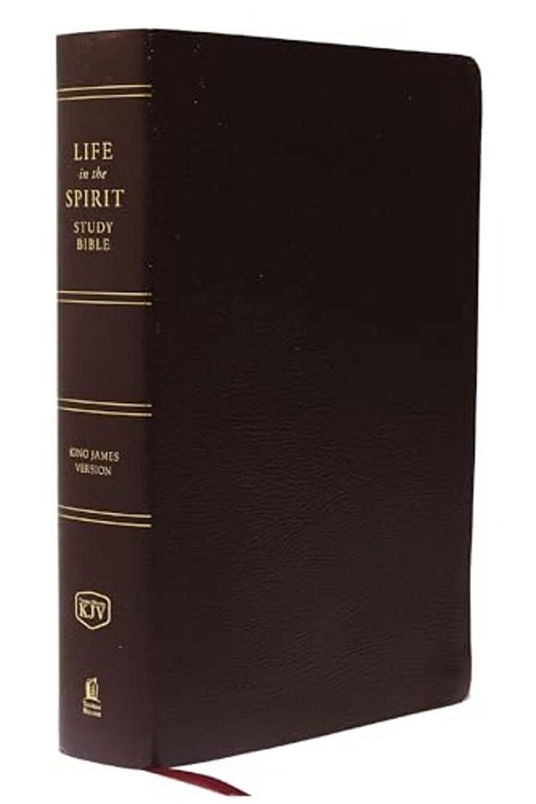 Life In The Spirit Study Bible-Kjv-..