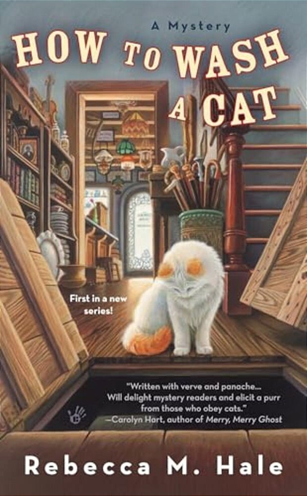 How To Wash A Cat-..