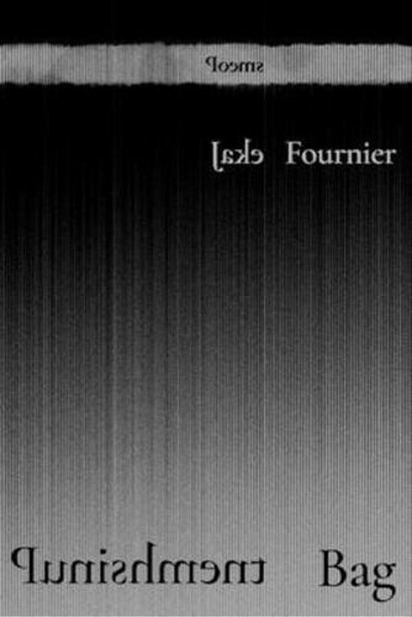 Punishment Bag: Poems-..