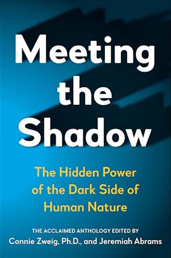 Meeting The Shadow: The Hidden Power Of The Dark Side Of Human Nature-..