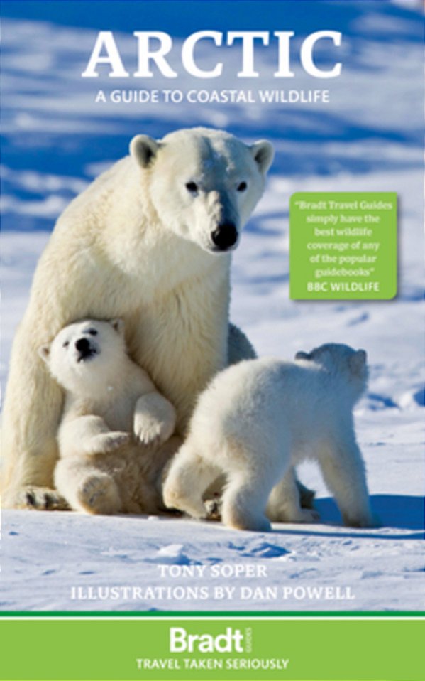 Arctic: A Guide To Coastal Wildlife-..