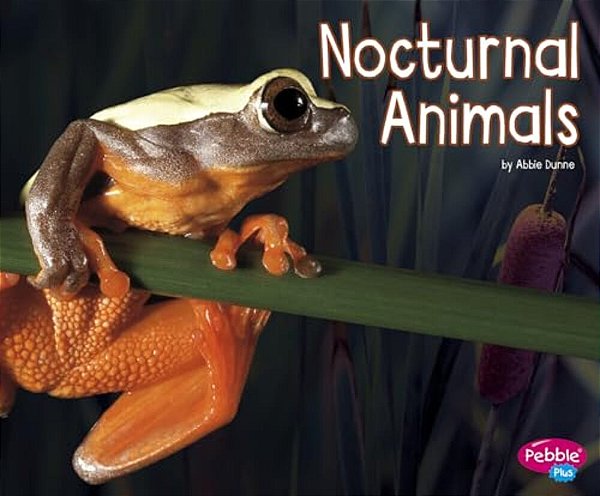 Nocturnal Animals-..
