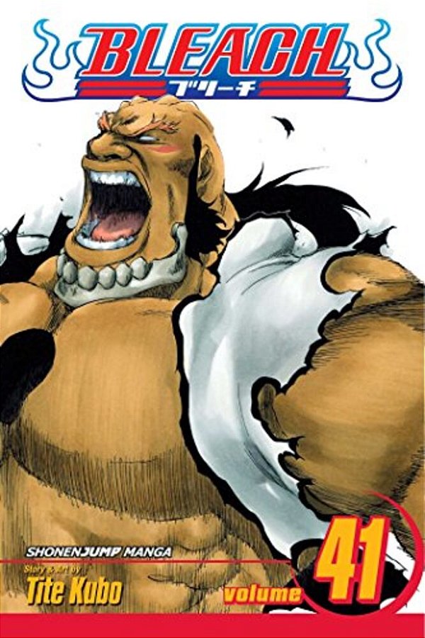 Bleach, Vol. 41: Heart-..