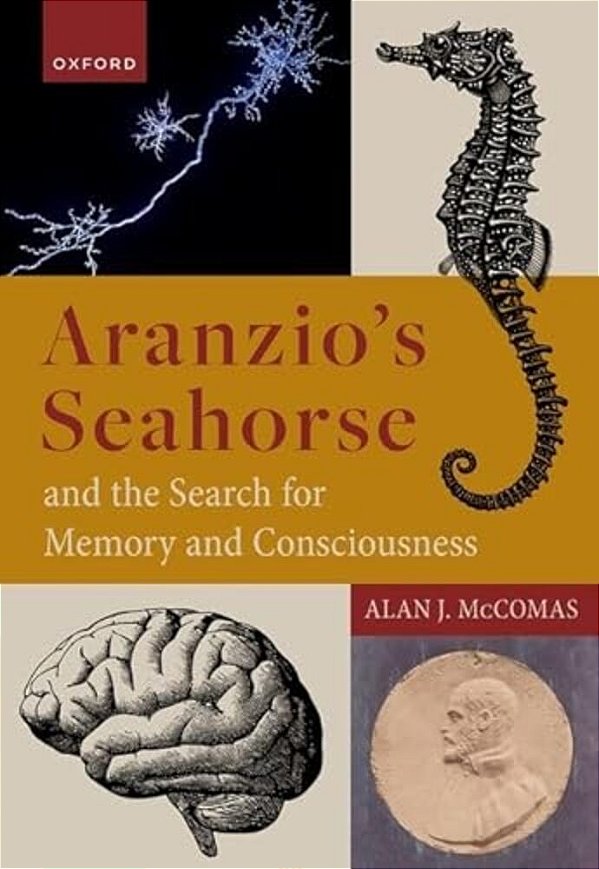 Aranzio's Seahorse And The Search For Memory And Consciousness-..