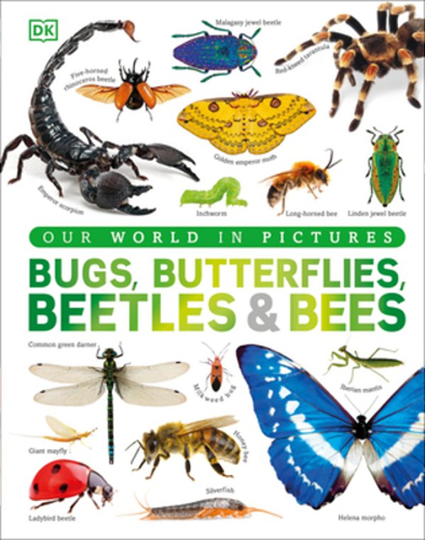 Our World In Pictures Bugs, Butterflies, Beetles And Bees-..