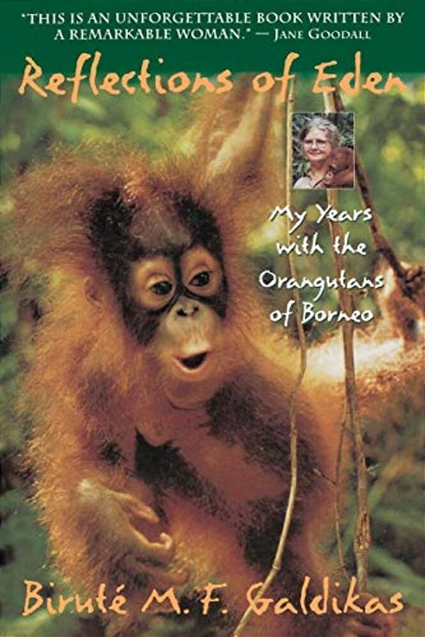 Reflections Of Eden: My Years With The Orangutans Of Borneo-..