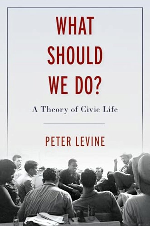 What Should We Do?: A Theory Of Civic Life-..