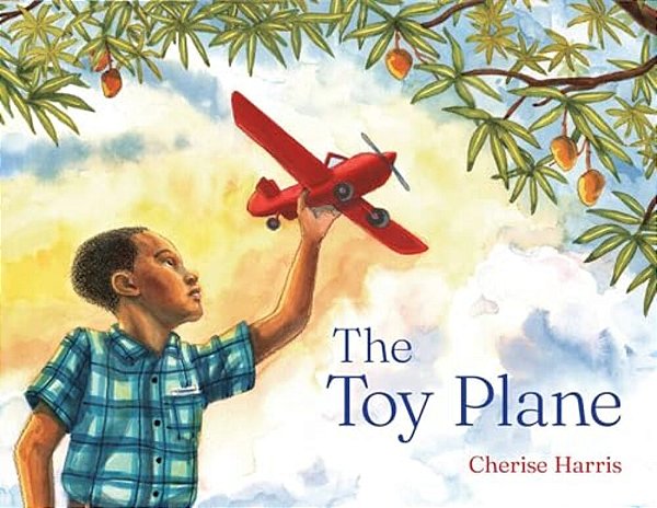 The Toy Plane-..