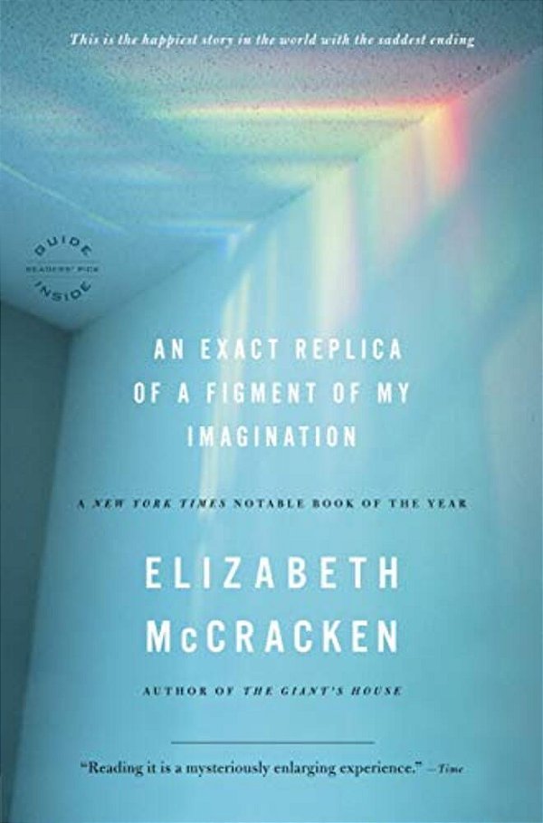An Exact Replica Of A Figment Of My Imagination-..