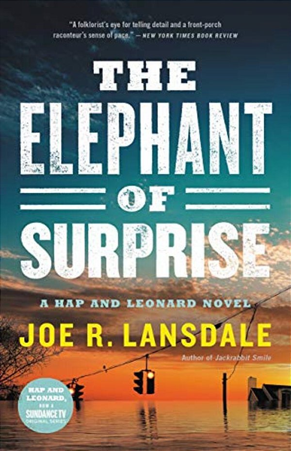 The Elephant Of Surprise-..