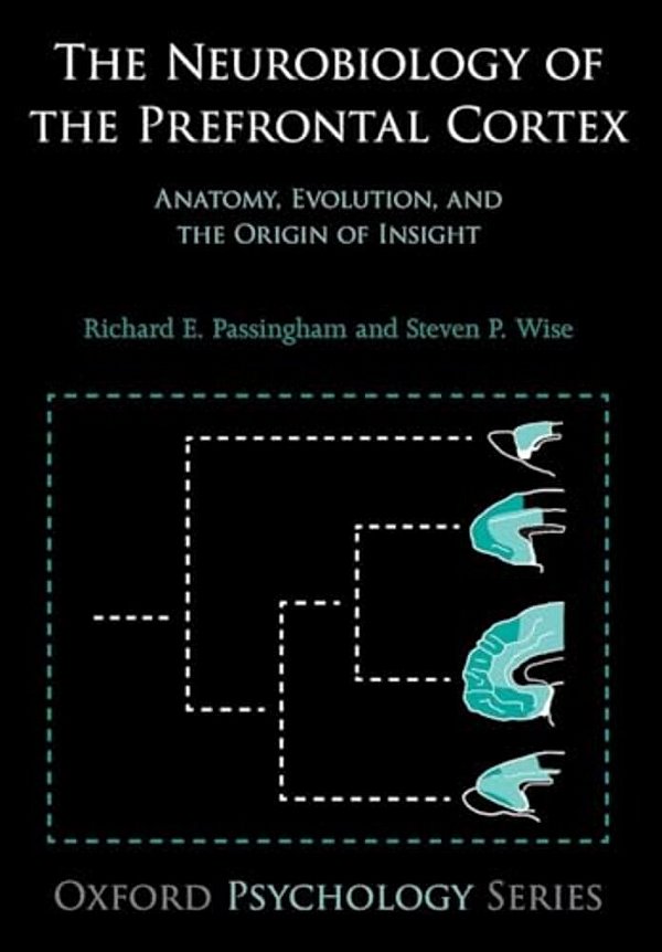 Neurobiology Of The Prefrontal Cortex: Anatomy, Evolution, And The Origin Of Insight-..
