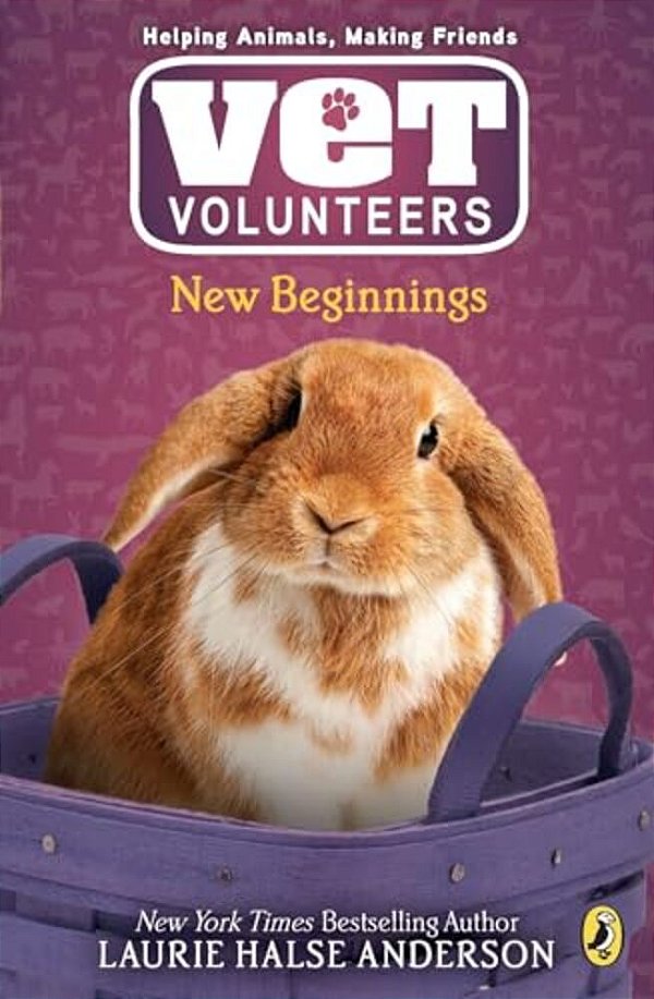 New Beginnings-..