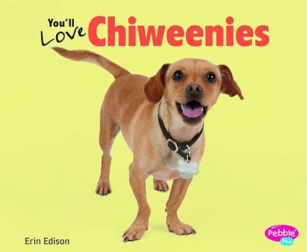 You'Ll Love Chiweenies-..