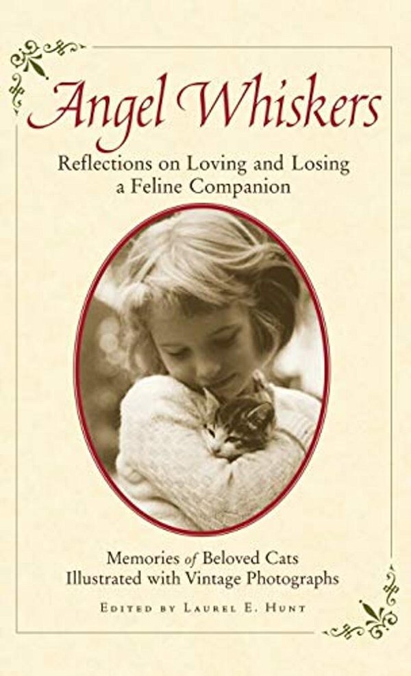 Angel Whiskers: Reflections On Loving And Losing A Feline Companion-..