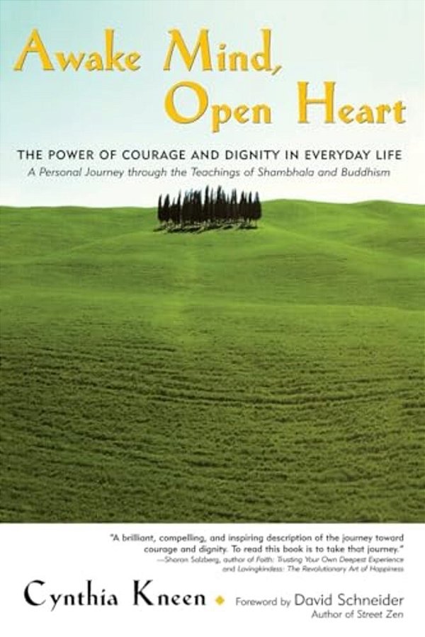 Awake Mind, Open Heart: The Power Of Courage And Dignity In Everyday Life-..