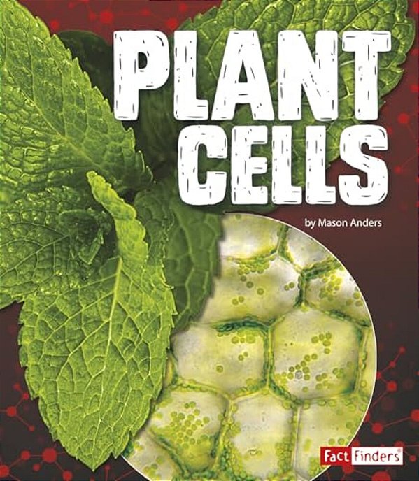 Plant Cells-..