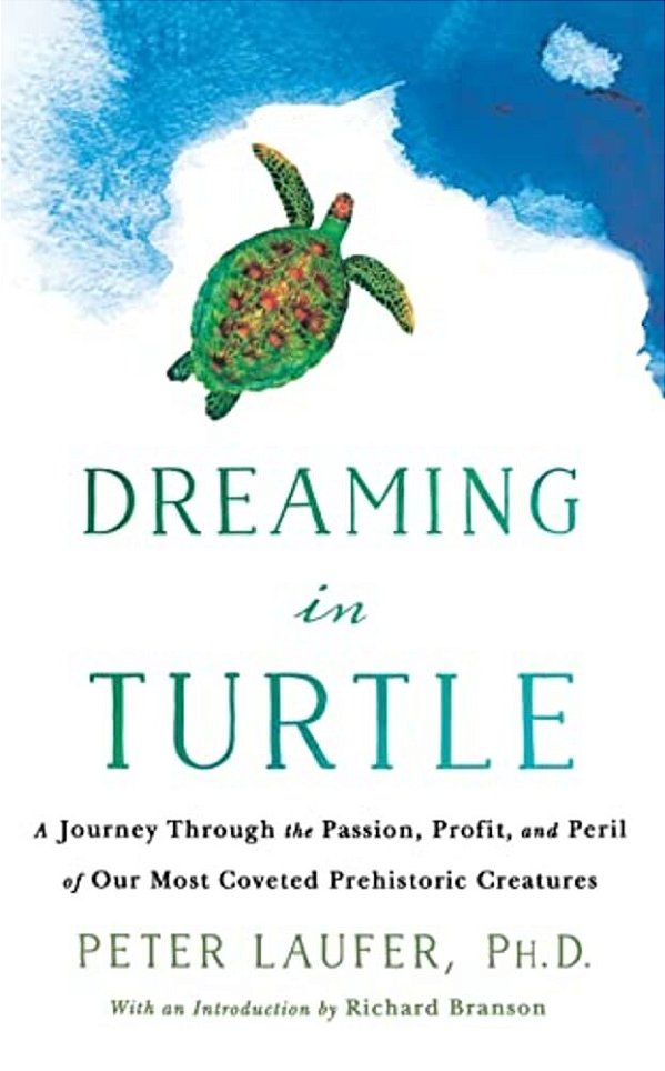 Dreaming In Turtle-..