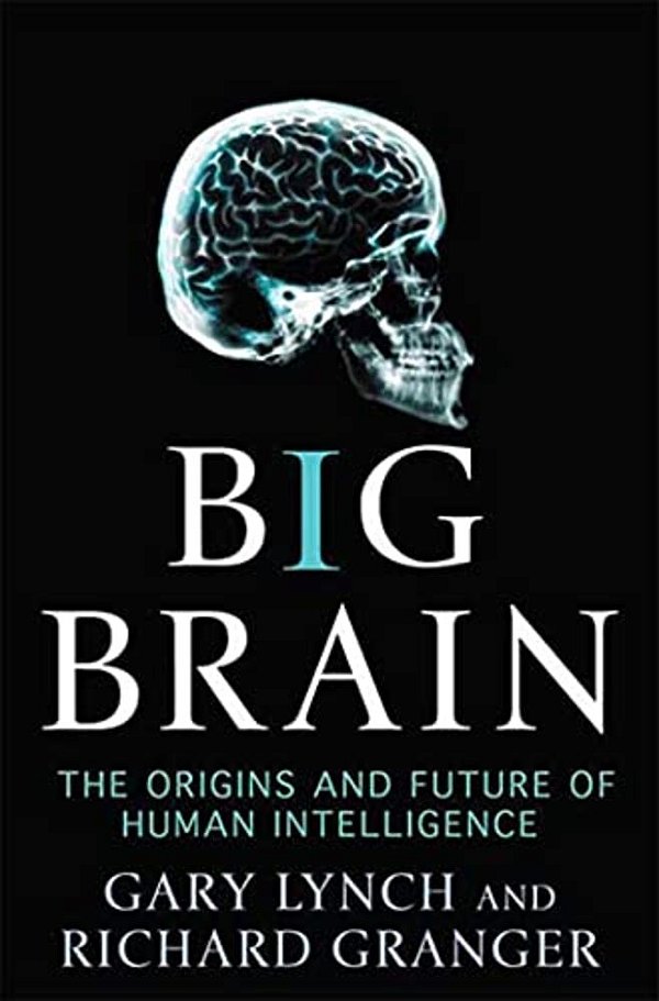 Big Brain-..