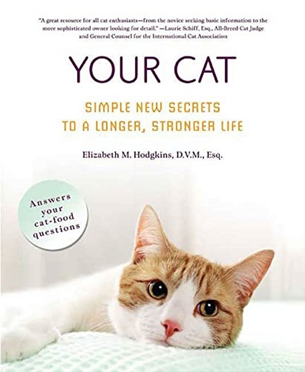 Your Cat-..