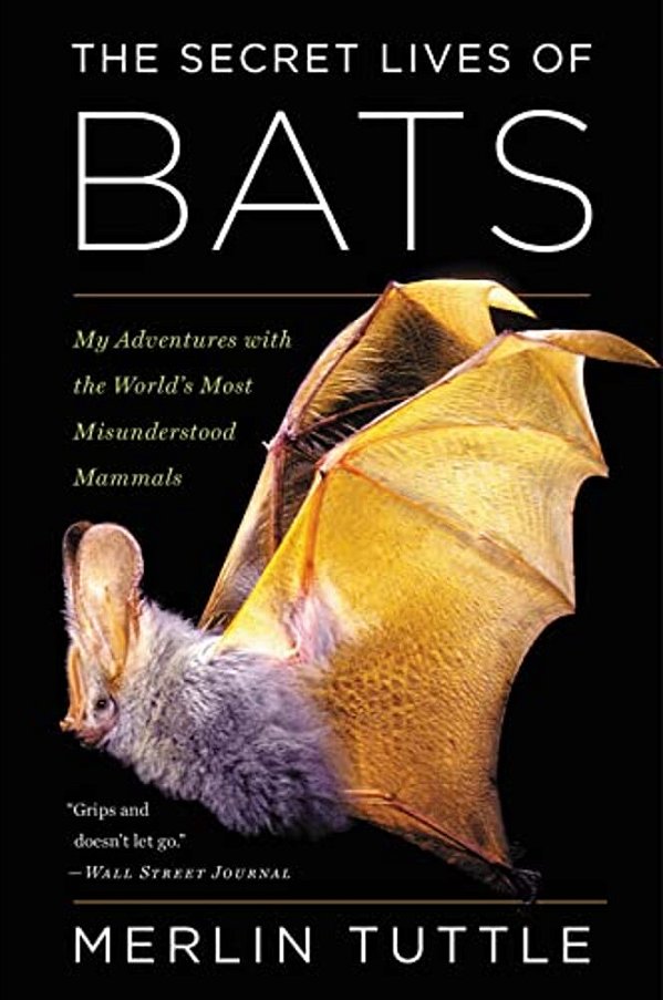 The Secret Lives Of Bats-..