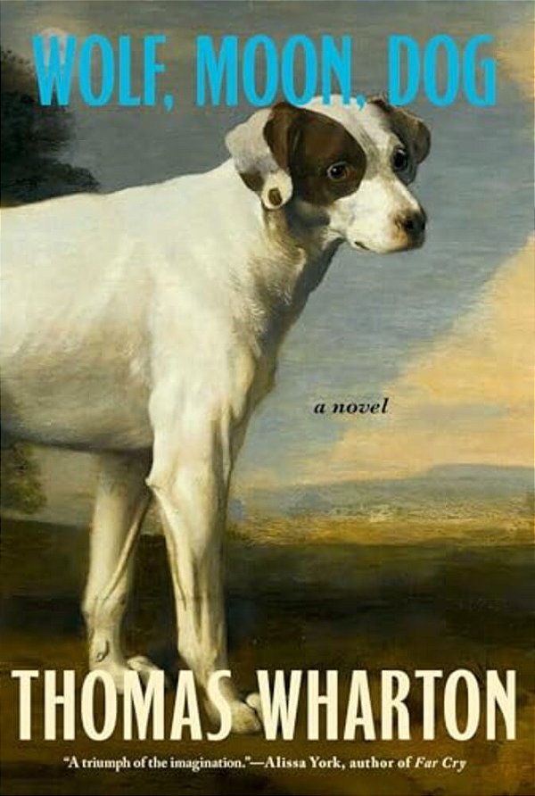 Wolf, Moon, Dog-..