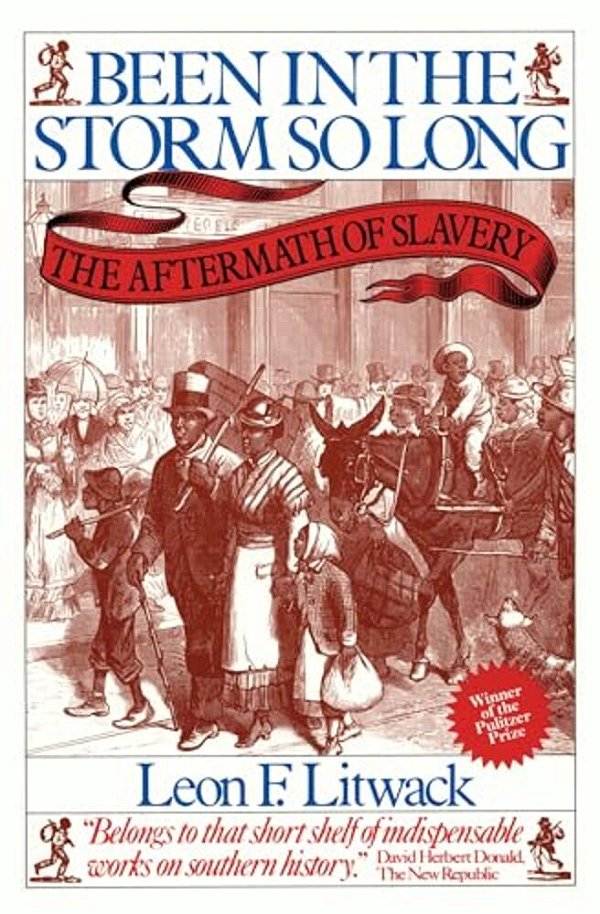 Been In The Storm So Long (Pulitzer Prize Winner): The Aftermath Of Slavery-..