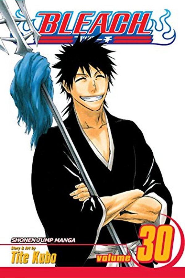 Bleach, Vol. 30: There Is No Heart Without You-..