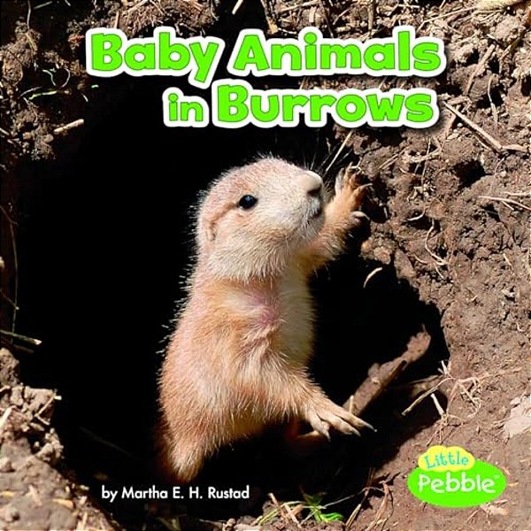 Baby Animals In Burrows-..