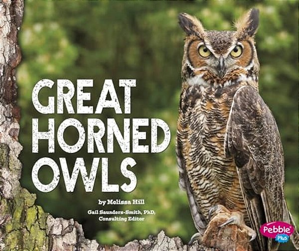 Great Horned Owls-..