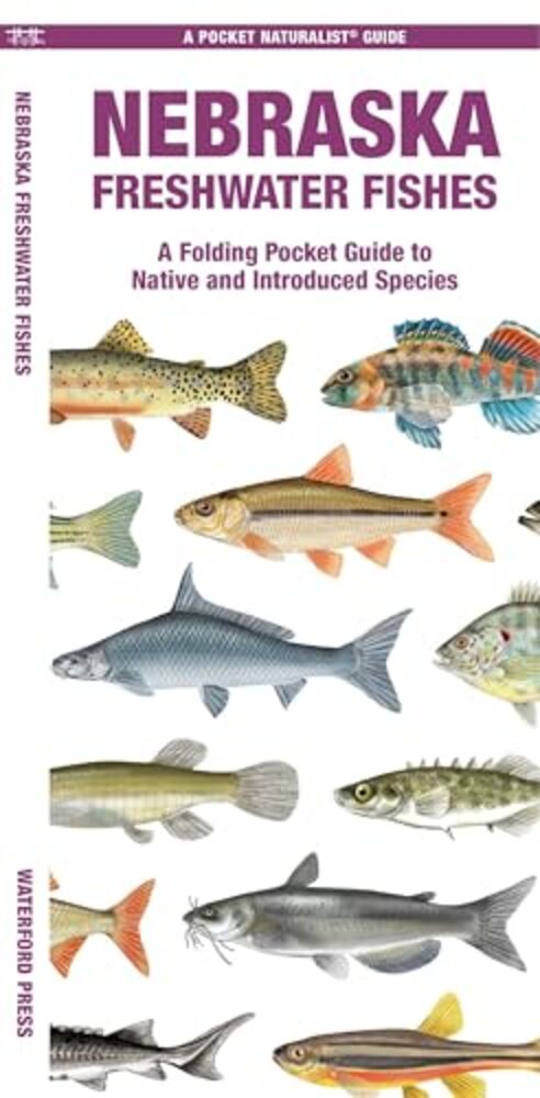 Nebraska Freshwater Fishes: A Folding Pocket Guide To Native And Introduced Species-..