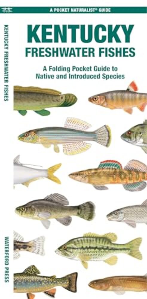 Kentucky Freshwater Fishes: A Folding Pocket Guide To Native And Introduced Species-..