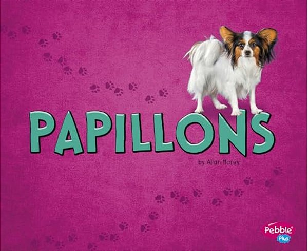 Papillons-..